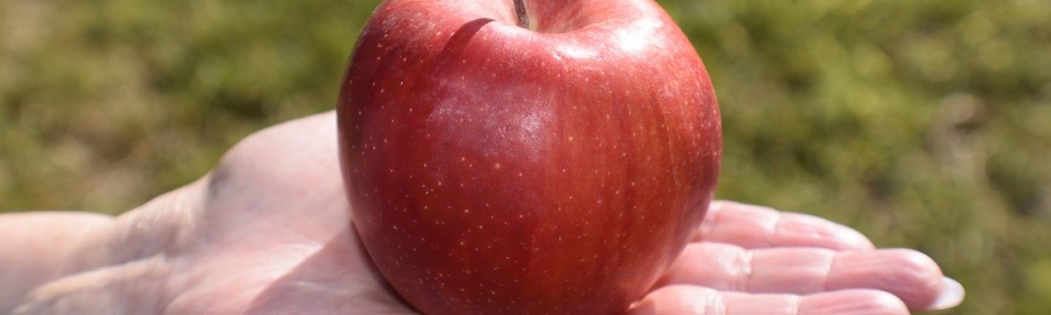 apple, food, ripe-8280637.jpg